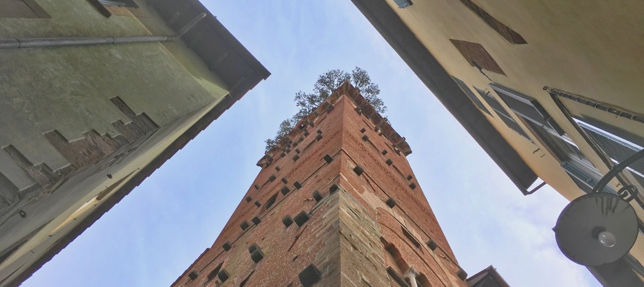 Lucca tower, Guinigi Tower, Torre guinigi