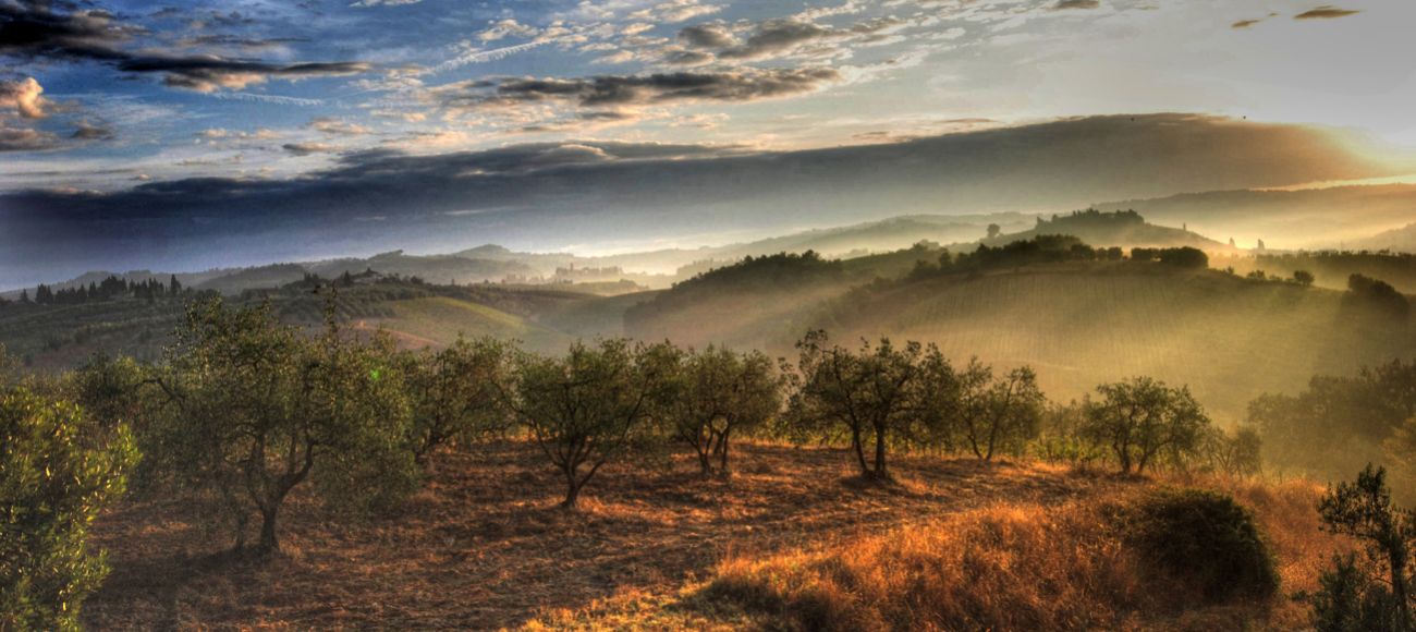 Certaldo coutryside - toursintuscany.com