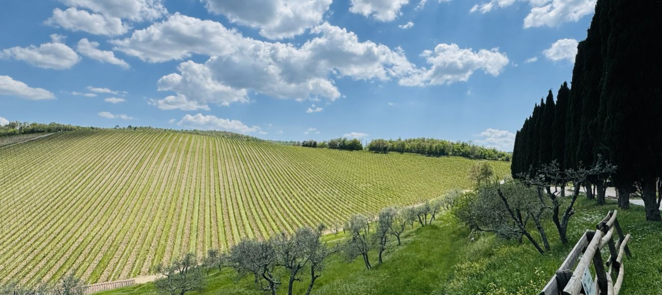 Aperidinner in tuscany toursintuscany.com