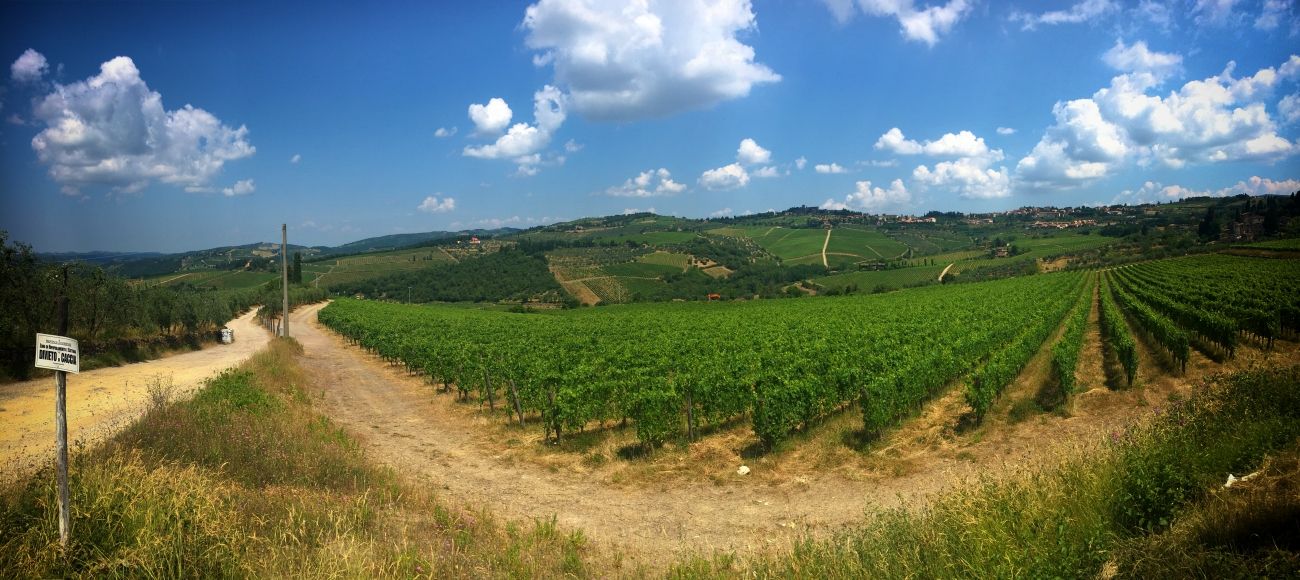 Chianti wine region, chianti hills, chianti vineyards, Chianti wine tour, Chianti wine tasting