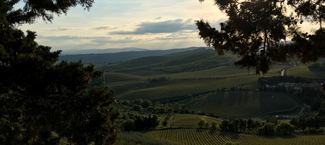 3 days tuscany wine tour: chianti - toursintuscany.com