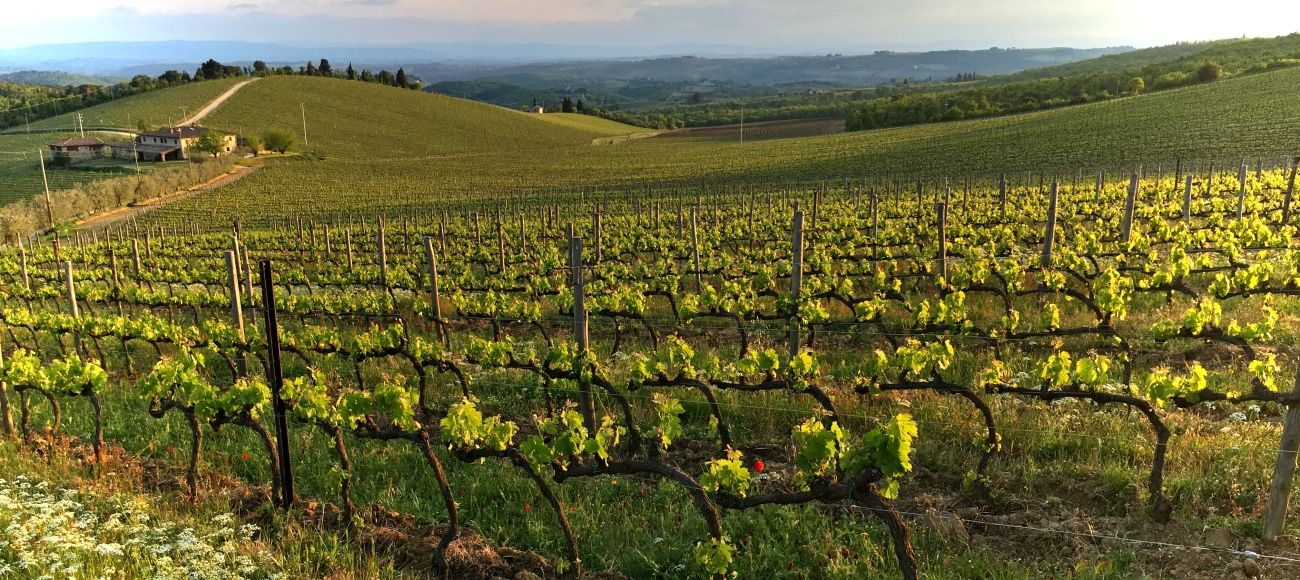 3 days tuscany wine tour: chianti - toursintuscany.com