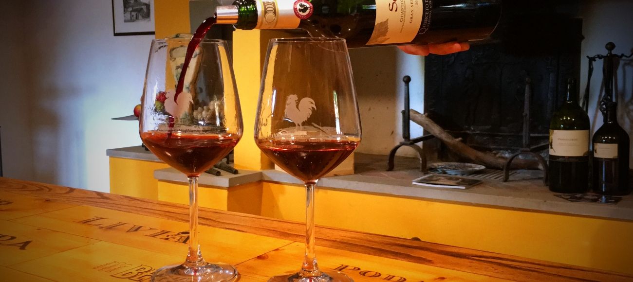 Chianti Wine Tasting, Private Chianti Wine experience, Chianti Castle