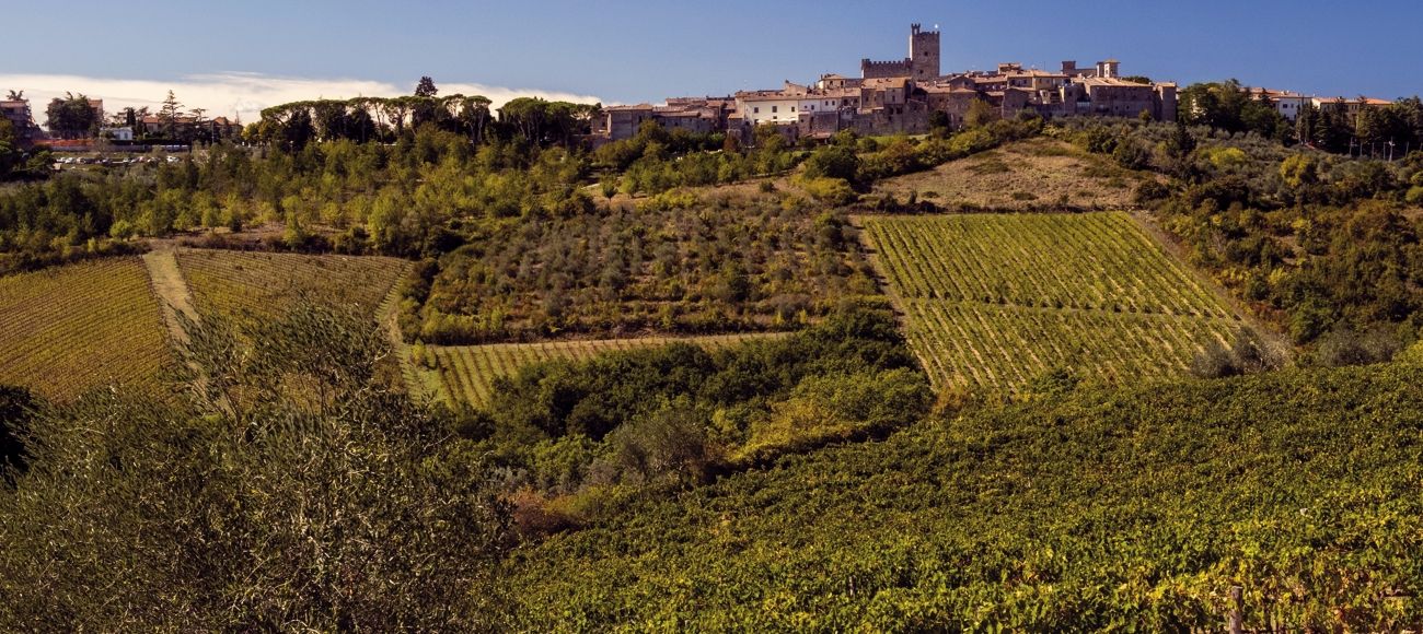 Vineyards in Chianti, Castellina, Toursintuscany.com