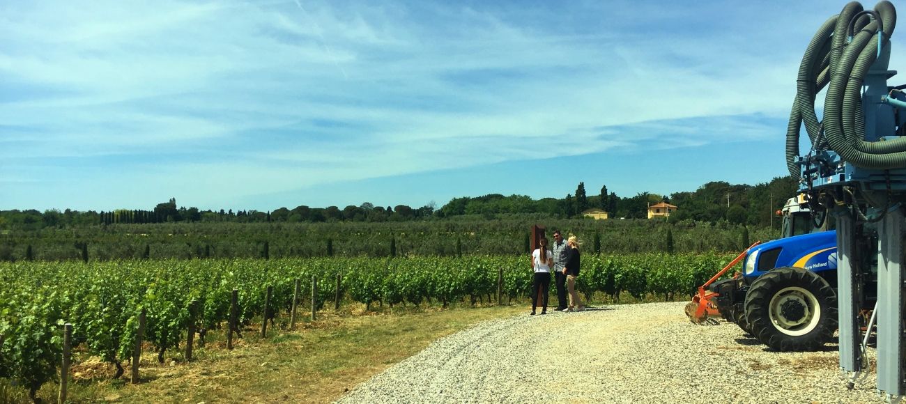 Bolgheri Vineyards - Bolgheri Super Tuscan wine tour